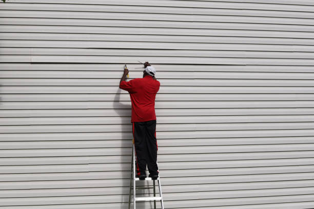 Best Siding Painting and Refinishing  in South Lebanon, OH